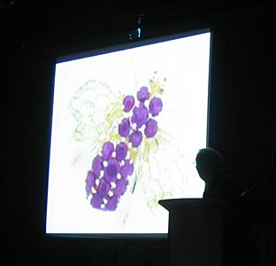 February U3A Meeting