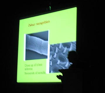 February U3A Meeting