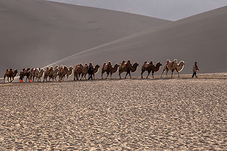 David's China Presentation