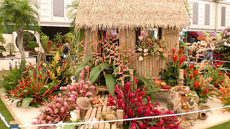 U3A February 2019 Meeting