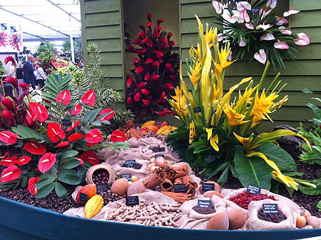 U3A February 2019 Meeting